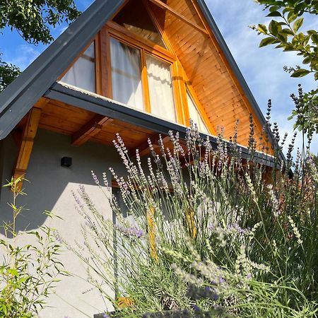 Petrovaradin Chalet Novi Sad Eksteriør bilde