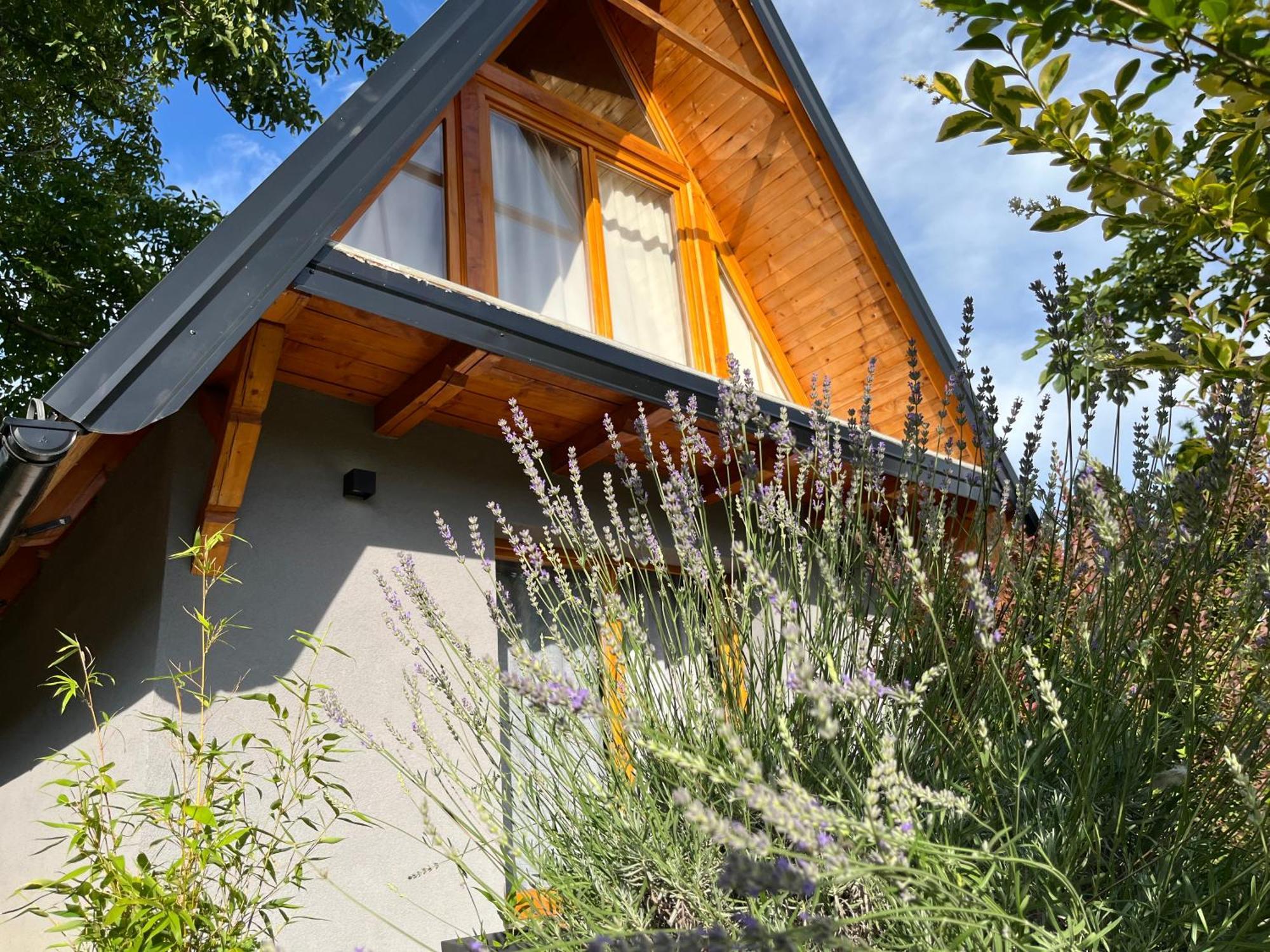 Petrovaradin Chalet Novi Sad Eksteriør bilde